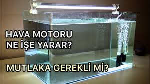 What Does An Aquarium Air Pomp Actually Do Youtube