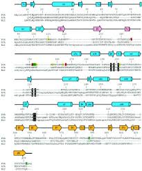 Industry stars competition top ten n madison. Differential Regulation Of A Hyperthermophilic A Amylase With A Novel Ca Zn Two Metal Center By Zinc Journal Of Biological Chemistry