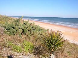 Ormond Beach Fla This Is What The Beach Looked Like At Grandmother S House In Ormond By The Sea We Had D Ormond Beach Ormond Beach Florida Florida Travel
