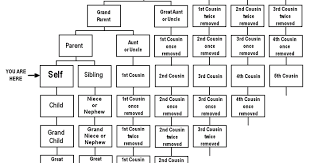 understand the difference between second cousin and