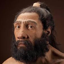 Neanderthals vs Humans: Societal Differences and Replacement