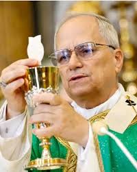 🕊️ “Rise in the light of Christ, carry His peace within you, and let your  life be a blessing to others. #PopeLeoXIV #pope #Leo