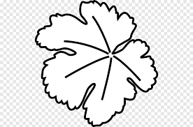 We did not find results for: Pumpkin Leaf Vine Pumpkin Leaves White Leaf Png Pngegg