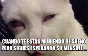 Imagenes Graciosas De Amor 2020 Frases Risas Fotos De Humor - Mundo  Imagenes Frases Actuales