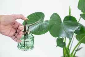 Plant Mister Green Glass M A D E