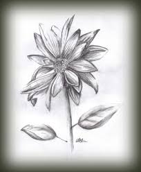 Asteraceae Sketch Of A Composite Flower Aster Tattoo Birth Flower Tattoos Aster Flower Tattoos