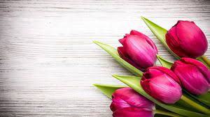 Uploaded on sep 17, 2014. Exquisite Rose Flower Love Powerpoint Background Picture Powerpoint Templates Free Download
