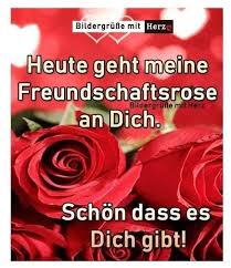 Freundschaft Auf Russisch Fur Whatsapp Und Facebook Furs Handy Cabbage Vegetables