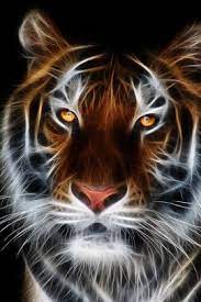Download Tiger Iphone 4s Hd Wallpaper For Your Apple Mobile Phone Animal Wallpaper Animals Animals Beautiful