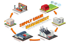 Các mô hình chuỗi cung ứng phổ biến trong doanh nghiệp
