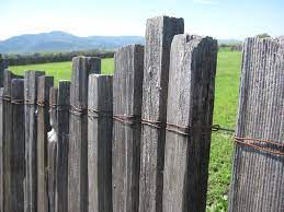 Grape Stake Fence Photo By Paul Ruxton Trellis Fence Fence Outdoor Wood