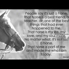 Pin By Brandi Halstead On Booking It Inspirational Horse Quotes Horse Quotes Equestrian Quotes