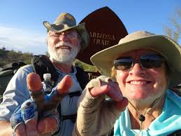Cycling in Arizona White Mountains