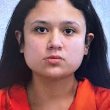 23 jailed in La Salle, Nov. 25