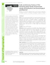 Image result for Dielsiothamnus divaricatus