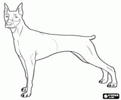 You might also be interested in coloring pages from dogs category. Doberman A Breed Of Dogs Coloring Page Printable Game