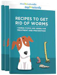 Content updated daily for cure for roundworms in dogs Natural Remedies For Worms In Dogs Dogs Naturally