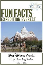 Expedition Everest Legend Of The Forbidden Mountain Is A Steel Roller Coaster Built By Vekoma At Animal Kingdom Disney Disney World Tickets Disney World Trip