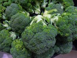How large can broccoli grow? Growing Broccoli In Containers Huntforbest