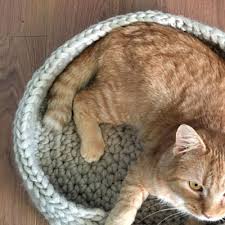 The lives of the pet revolve around one same routine, and that is eaten, play, sleep and repeat. Easy Cozy Crochet Cat Bed Free Crochet Pattern Mindy