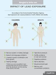 Angie S List Guide To Lead Hazards Occupational Health And Safety Science Projects For Kids Fertility Problems