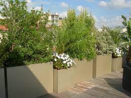 creer un brise vue plante brise vue brise vue terrasse jardins sur les toits