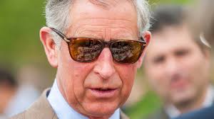 What You Don't Know About Prince Charles