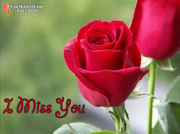Download Wallpaper Good Morning Tamil Kavithai 619105 Hd Wallpaper Backgrounds Download How happy it feels when you express your wishes to your loved ones in your natice language tamil. good morning tamil kavithai 619105