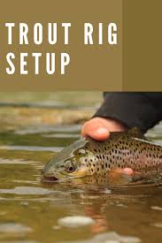 Let's know how to set up fishing line with swivel: How To Rig A Trout Fishing Line Trout Fishing Trout Fishing Tips Steelhead Fishing