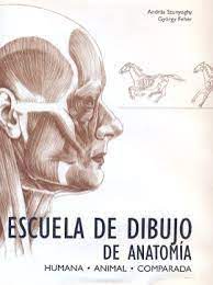 Si buscas recomendaciones en libros te traemos esta seleccion de nuestros libreros en la que. Escuela De Dibujo De Anatomia Pdf Andras Szunyoghy