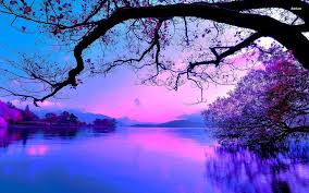Moravian green rolling landscape with. Purple Sunset Beautiful Photos Of Nature Sunset Wallpaper Landscape Wallpaper