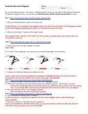 The term natural selection was popularized by charles darwin who intended it to be compared with artificial selection, which is now called selective breeding. Natural Selection Webquest 1 Doc Natural Selection Webquest Name Trackstar 419715 Date Period Go To Each Of These Websites Once There Read The Course Hero