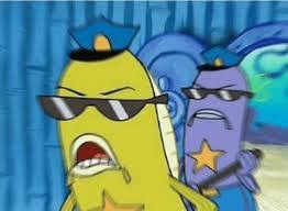 sean mccart (@Seanmccart1)