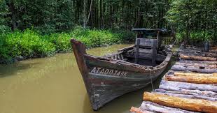 Image result for kuala sepetang