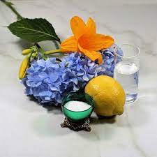 Check spelling or type a new query. How To Keep Cut Flowers Fresh 15 Tips For Making Cut Flowers Last