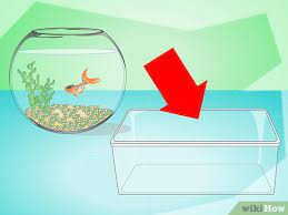 Some water conditioners only act as a dechlorinator (and just remove chlorine) while others. How To Change The Water In A Fish Bowl 14 Steps With Pictures