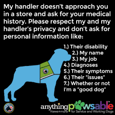 10 Things Service Dog Handlers Want You To Know Anything Pawsableanything Pawsable Service Dog Training Service Dogs Service Dogs Gear