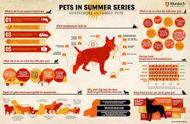 How Hot Is Too Hot Heat Stress In Pets