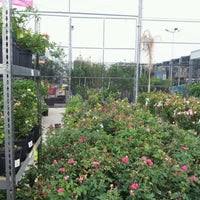 Ike's home centers in laredo, tx 78043. Lowe S Hardware Store In Laredo