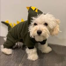 Fast, free shipping · free returns · prices 10/10 · service 10/10 Dog Dog Dinosaur Costume Poshmark