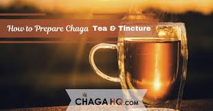 Pour water that has been heated to just below boiling over the tea ball, and then let it steep until it reaches the desired strength. How To Prepare Chaga Tea And Tincture Chaga Hq