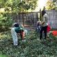 Weekend Weeders event in Washington, DC
