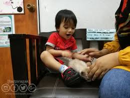 810 ziyaretçi klinik veterinary shah alam ziyaretçisinden 25 tavsiye gör. Bawa Kucing Ke Klinik Veterinar Untuk Check Up Percuma Mycat2vet