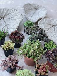 Es ist toll, wie das gras mit den ostereiern herausschaut. Diy Beton Pflanzschalen Aus Rhabarberblattern Fur Den Garten Fashion Kitchen