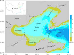72/44/2002 pentru aprobarea listelor cuprinzand denumirile comune internationale (dci) ale medicamentelor din nomenclatorul de. Long Term Changes In Nutrient Regimes And Their Ecological Effects In The Bohai Sea China Sciencedirect