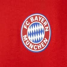Some logos are clickable and available in large sizes. Koszulka Z Dlugim Rekawem Adidas Bayern Monachium Meska Longsleeve Sportowa Esportowysklep Pl