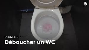 Deboucher Un Wc Bricolage Youtube