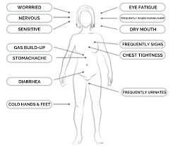 The Relationship Between Stress Anxiety Diarrhea Vancouver Greenleaf Acupuncture Herb Clinic