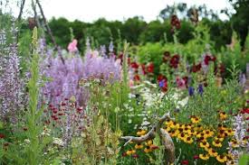 Hummelkoniginnen Im Eigenen Garten Helfen Lbv Gemeinsam Bayerns Natur Schutzen Lbv Garten Naturgarten Herbstzeitlose