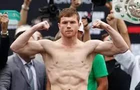 As canelo alvarez was receiving plaudits from the record crowd at at&t stadium in arlington, texas, previously. Is Canelo Alvarez Half Irish Quora